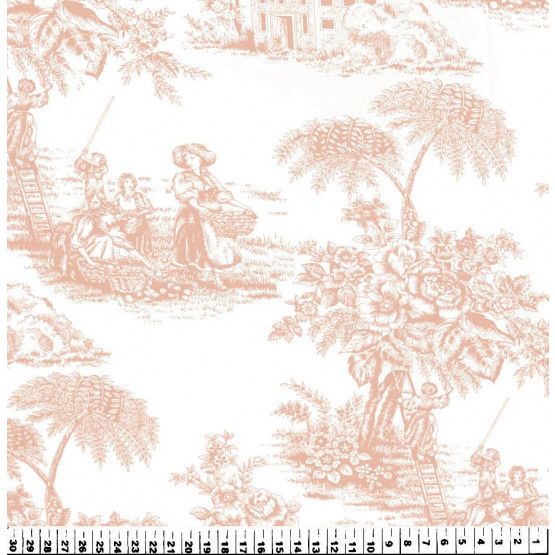 Tecido Toile de Jouy Salmão e fundo branco 100%algodão PRECO POR METRO