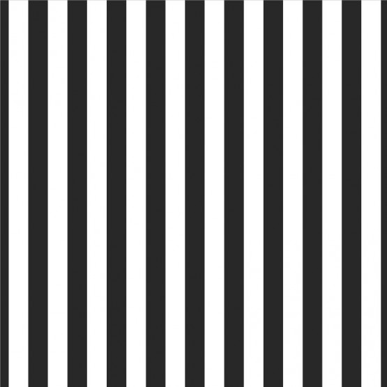 TECIDO ADESIVO Listrado Branco com Preto 100%ALG 47cm x 1,00cm