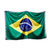 Tecido Cetim Bandeira do Brasil (Quadro 0,97cm x1,50mt ) c/1 Bandeira -100%Poliester - Preço por Quadro - para cortar e costurar