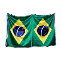 Tecido Cetim Bandeira do Brasil (Quadro 0,97cm x1,50mt ) c/2 Bandeiras -100%Poliester - Preço por Quadro - para cortar e costurar