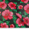 Chitão Estampado Plastificado - Tecido superior 100% algodão/Base100% PVC Lg135cm - 1