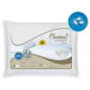 Travesseiro Plumasul com Plumas de Ganso 233 Fios Elevee - Branco - 1