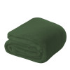 Cobertor microfibra Solteiro - Corttex: Cor: Verde - 1