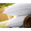 TRAVESSEIRO 100%PLUMAS  50x70cm - Plooma - 2