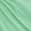 Tecido Malha Plush Microfibra Aveludado Verde Chá Largura 160cm 100%Poliester 215gr/m2- preço por metro - 1