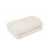 Cobertor Microfibra SuperSoft Raschel Casal - Off-White - Camesa Neo - 1
